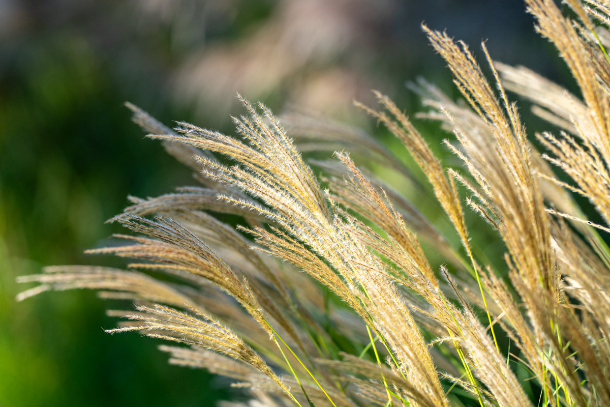 The Managers' Guide #120