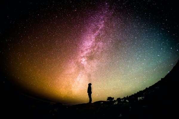The Leadership Garden Newsletter – #37