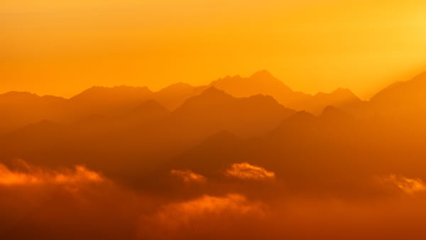 The Manager's Guide – #60