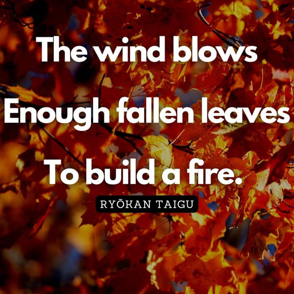 The Leadership Garden Newsletter – #35