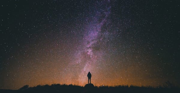 The Leadership Garden Newsletter – #42